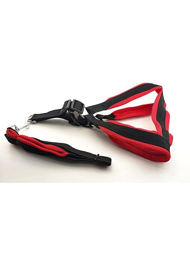 Soft Adjustable Basic Nylon Padded 1-Inch Vest Harness And Long Handle Leash Ideal For Outdoor Walking/Training Dogs And Puppies (Red Black) - Image 4