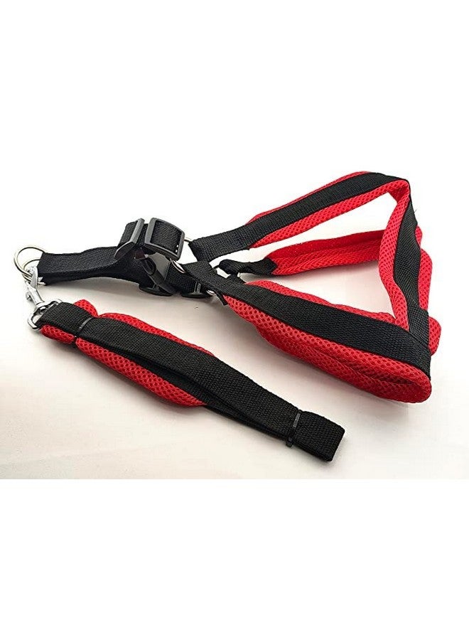 Soft Adjustable Basic Nylon Padded 1-Inch Vest Harness And Long Handle Leash Ideal For Outdoor Walking/Training Dogs And Puppies (Red Black) - Image 1