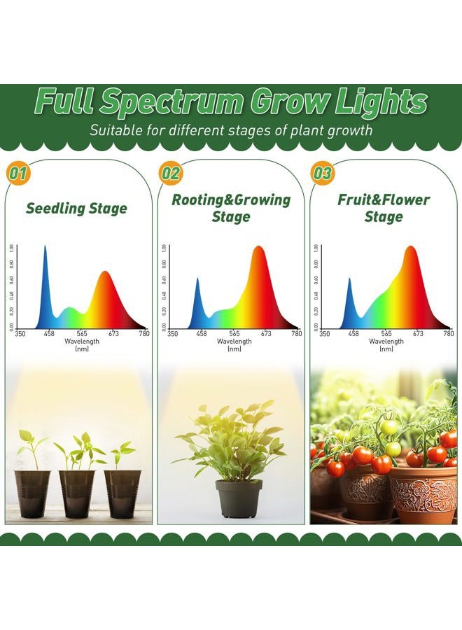 Dreyoo 6 Tier Metal Plant Shelf with Grow Light, Sturdy Tall Plant Ladder for Display, Black - Image 5