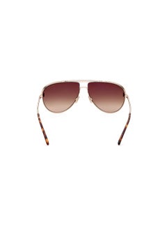 TOM FORD Rimless Metal Gold Unisex Sunglass - pzsku/Z3253678E18336A3F25BCZ/45/_/1738942311/1b03333d-15bb-4a28-ad0b-ed45098217a1