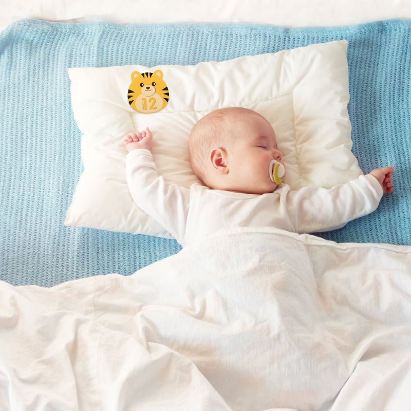 Baby Milestones Stickers for Monthly Photo Props and Growth Tracking - Image 3