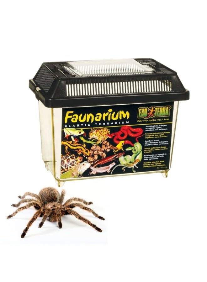 Exo Terra Faunarium, Plastic Reptile Terrarium, Small, Pt2255 - Image 1