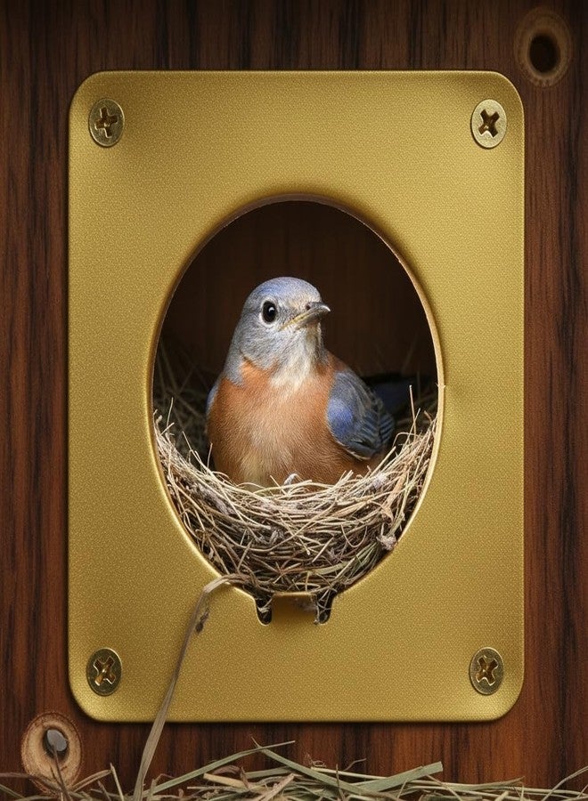CEDAR ALPHA 4 Pk Bird House Predator Guards -1.5" Hole Sizes - Excludes Different Bird Species - Protects The Entry Hole - Image 2