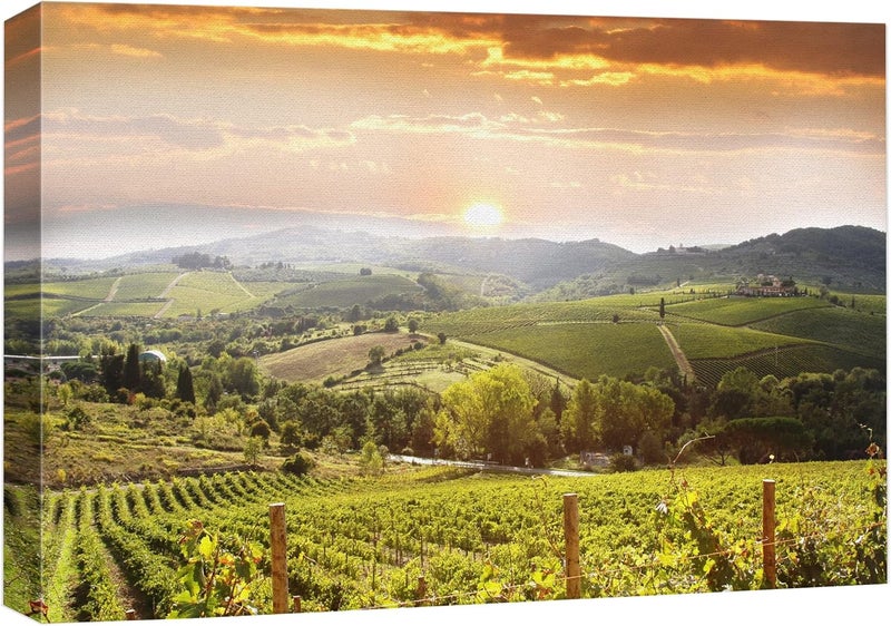 wall26 - Vineyard Landscape in Tuscany Italy - Canvas Art Wall Art - 24" x 36" - Image 1