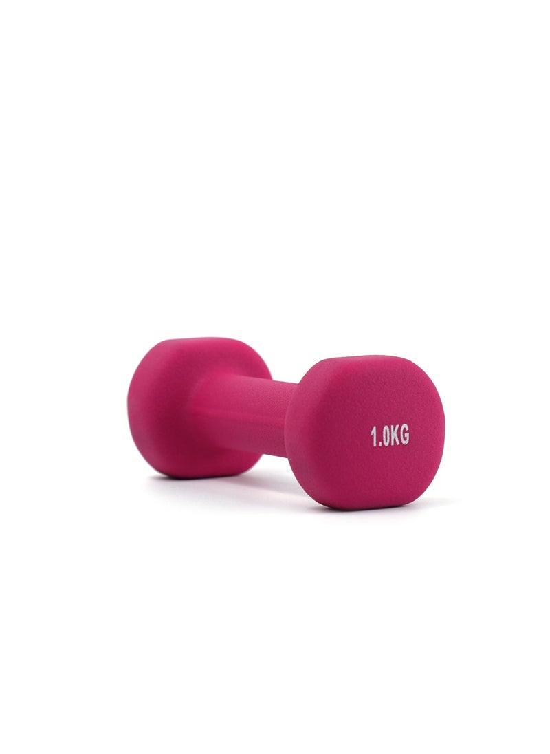 AXOX Fitness Neoprene Dumbbells 1Kg  - Image 1