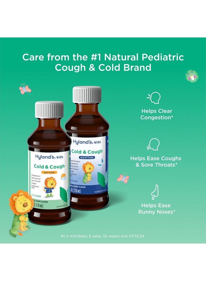 Hyland's Kids Cold and Cough, Day and Night Combo Pack, Cold Medicine for Ages 2 and up, Grape Flavor Syrup Cough Medicine for Kids, Nasal Decongestant, 4 Fl Oz (Pack of 2) - Image 2