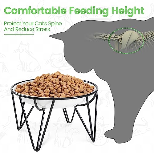 Kitwinney Ceramic Cat Bowls, 2 Pack - Raised, Whisker Friendly, Anti-Vomiting Cat Food Plates - Hygienic, Secure Material, Elegant Stand, 10 oz, for Indoor Cats & Kittens - Image 2