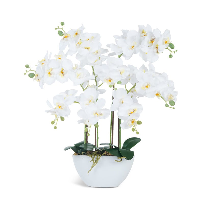 Ziwon Artificial Orchid Flowers & Plants Potted in Ceramic Pot, White Faux Phalaenopsis Orchids for Table Centerpiece, Realistic Fake Flower Arrangement for Home Office Decor Indoor - Image 1