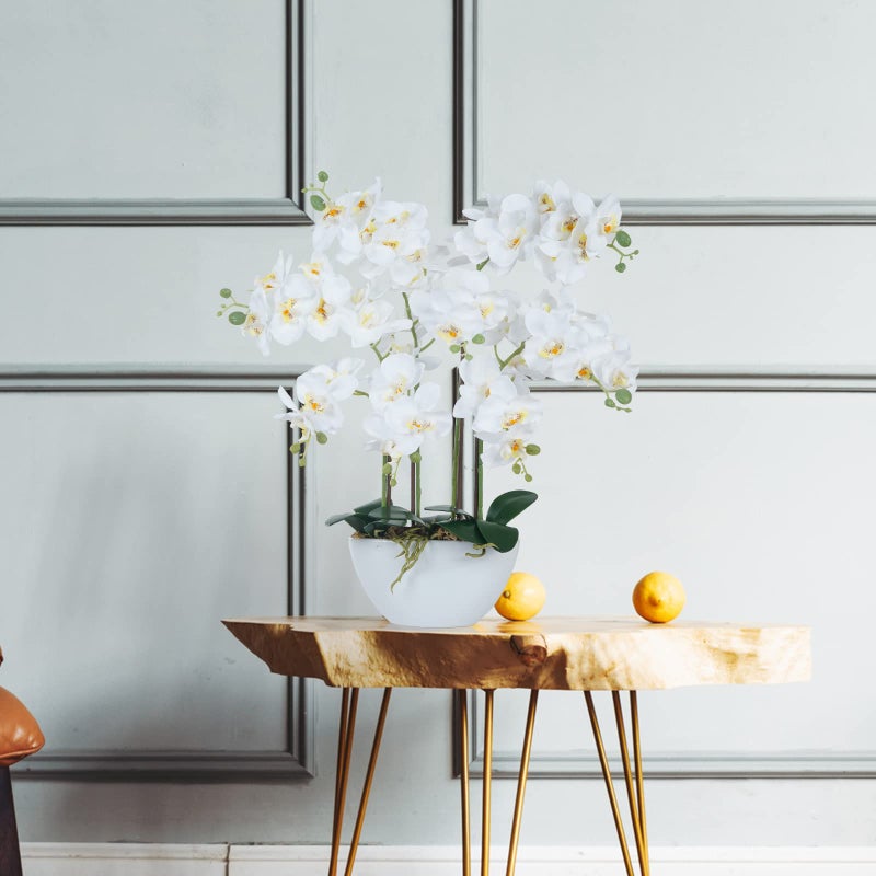 Ziwon Artificial Orchid Flowers & Plants Potted in Ceramic Pot, White Faux Phalaenopsis Orchids for Table Centerpiece, Realistic Fake Flower Arrangement for Home Office Decor Indoor - Image 5