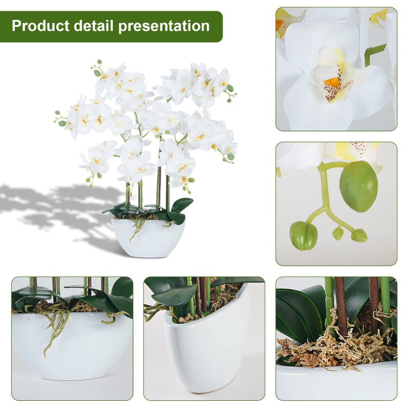 Ziwon Artificial Orchid Flowers & Plants Potted in Ceramic Pot, White Faux Phalaenopsis Orchids for Table Centerpiece, Realistic Fake Flower Arrangement for Home Office Decor Indoor - Image 2