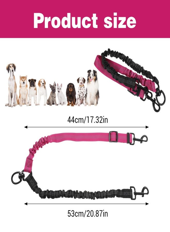 Molain Double Dog Leash Coupler, 360° Swivel No Tangle Splitter with Adjustable Strap and Shock Absorbing Bungee, Reflective Dual Lead for Two Different Size Dogs - Image 2