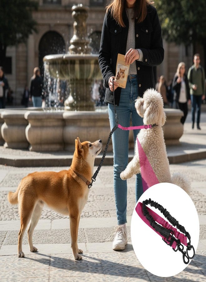 Molain Double Dog Leash Coupler, 360° Swivel No Tangle Splitter with Adjustable Strap and Shock Absorbing Bungee, Reflective Dual Lead for Two Different Size Dogs - Image 5
