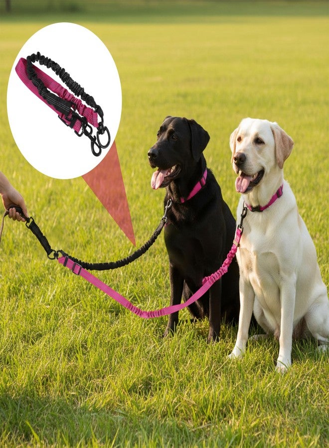 Molain Double Dog Leash Coupler, 360° Swivel No Tangle Splitter with Adjustable Strap and Shock Absorbing Bungee, Reflective Dual Lead for Two Different Size Dogs - Image 3