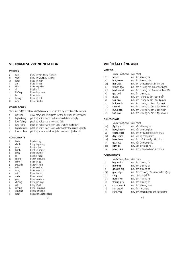 Vietnamese Essential Dictionary: All the Words You Need, Every Day  - Image 4