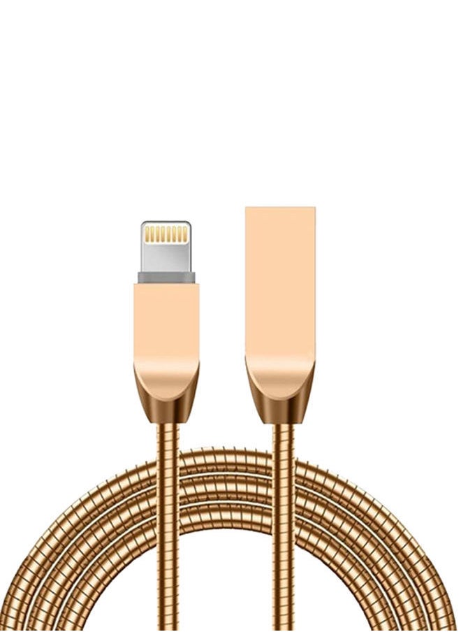 NIBEMINENT - Lightning Cable For Apple iPhone Gold - Image 1