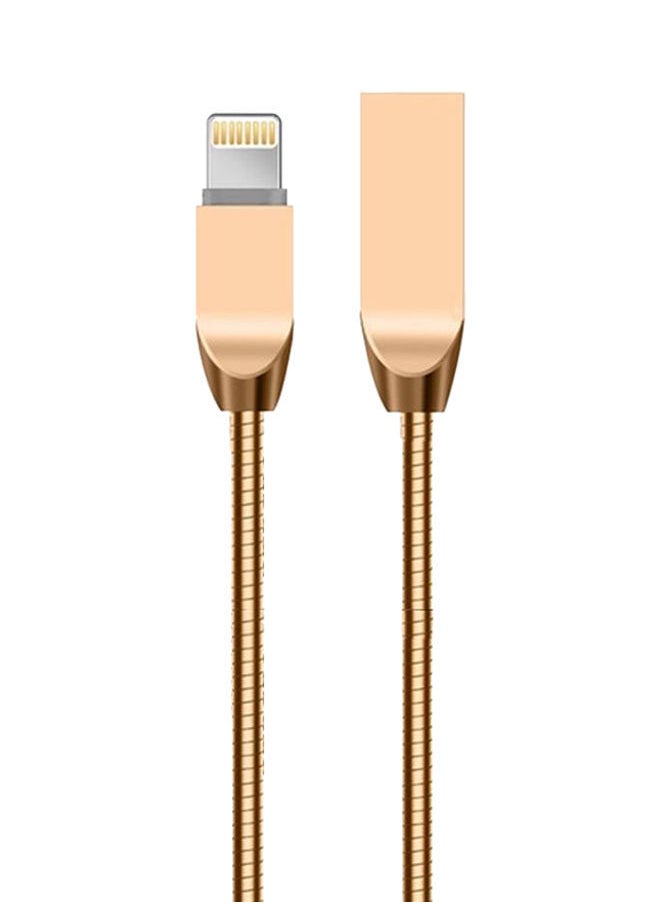 NIBEMINENT - Lightning Cable For Apple iPhone Gold - Image 1