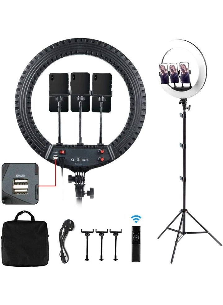 RL-18 Ring Light Tripod Photography LED Beauty Selfie Mobile Phone Self-timer – Specifications: 18 Inch with Light Bag Orignel