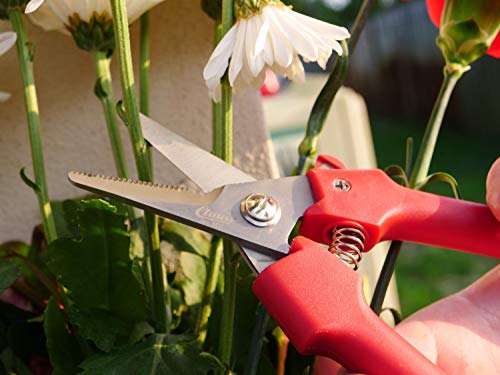 Clauss Spring-Action Stainless Steel Wire Cutters / Pruning Shears For Gardening, Red, 7.5’’ (33503) - Image 5
