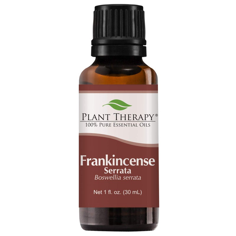 Plant Therapy Frankincense Serrata Essential Oil 100 Pure Undiluted Natural Aromatherapy Therapeutic Grade 30 mL 1 oz