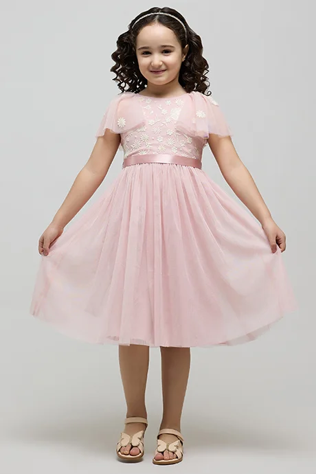 R&B Embroidered Dress with Crew Neck and Flutter Sleeves