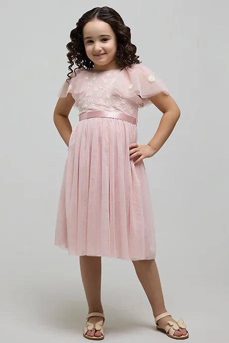 R&B Embroidered Dress with Crew Neck and Flutter Sleeves