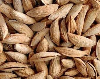 Nurito Premium Almonds (Sitarbai Almonds, 750g) - Image 3