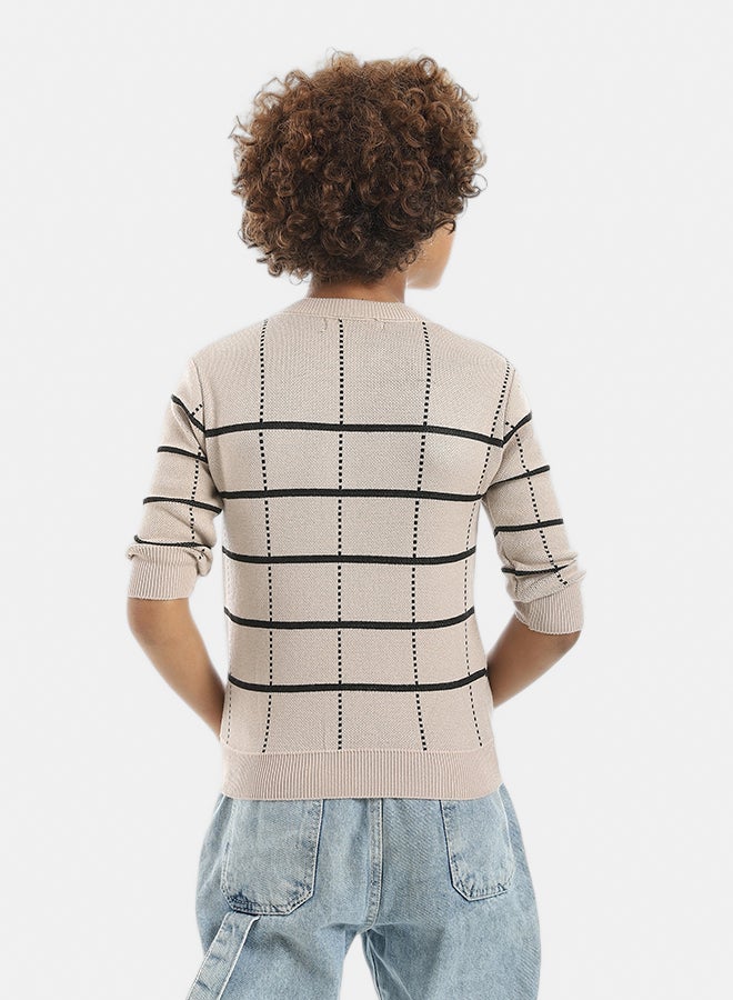 Andora Crew Neck Stripped and Dotted Pullover_Black & Beige - Image 3