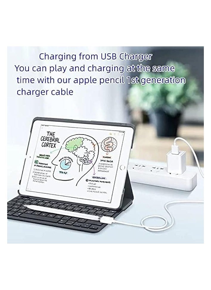 erorex - iPencil Charging Adapter, Compatible with Apple Pencil 1st Generation, 1FT iPencil Accessories for Apple 1 Pen Gen USB A to Ligntning Female Connector, White - Image 1