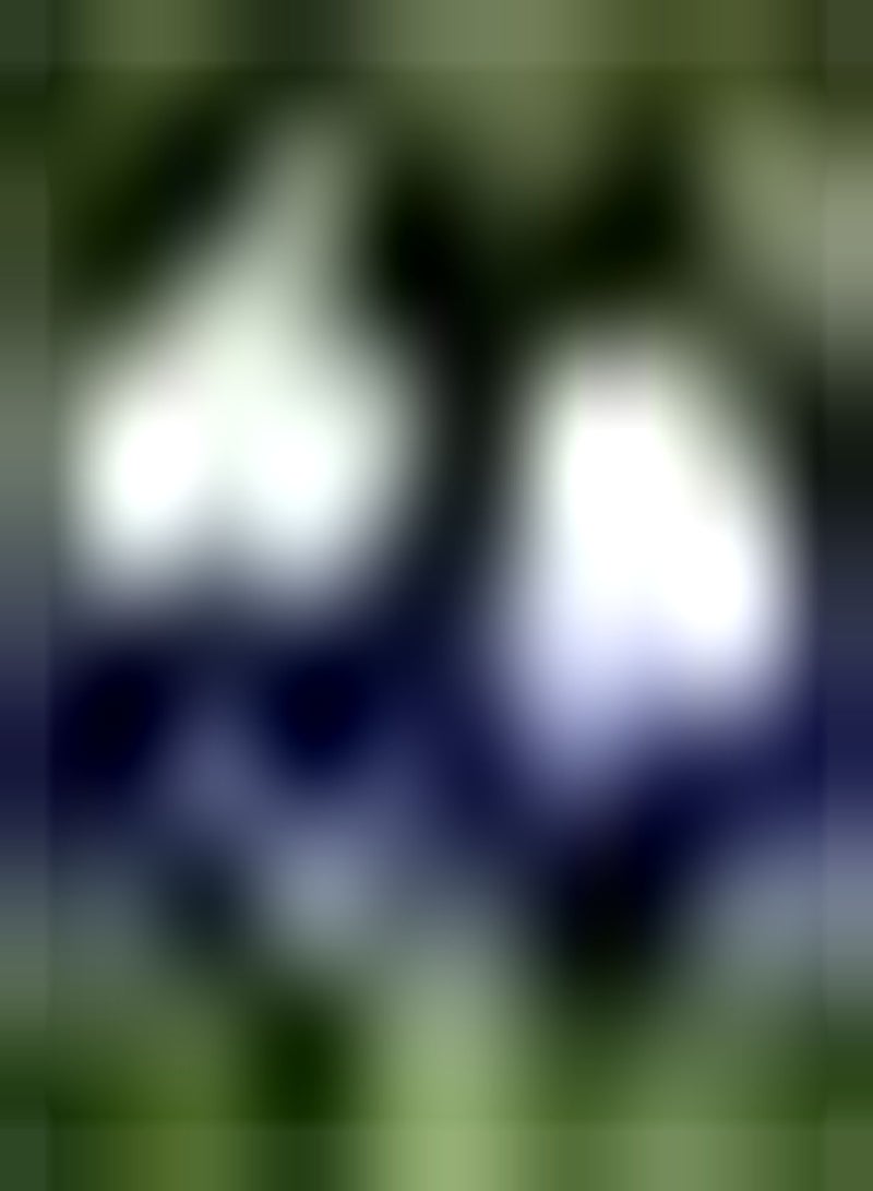 GGOOT 10 lila Iris Zwiebeln Reich an Farben einzigartig in Blütenform Einfach zu pflanzen Blumensorten am Rand im Freien Machen die Umgebung schöner - Image 2