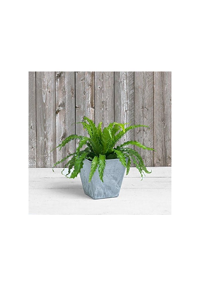 Novelty ArtStone 35100 Ella Square Planter, 10-Inch, Grey - Image 3