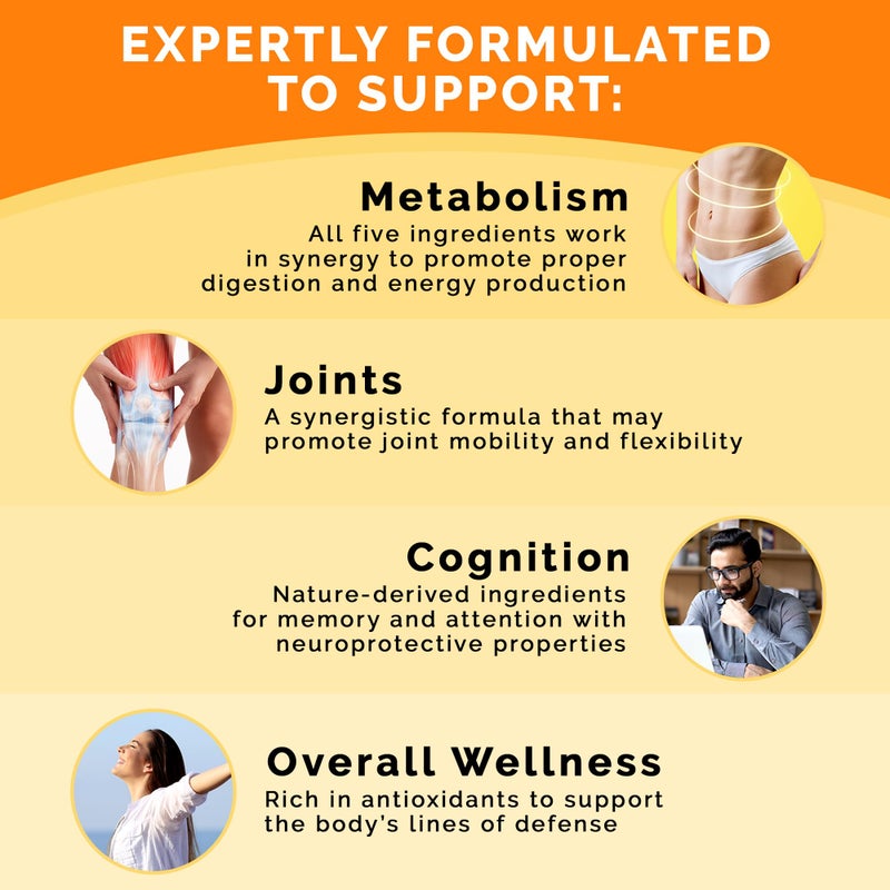 PrimeMD 5-in-1 Ceylon Cinnamon Capsules 2355mg - Ceylon Cinnamon and Apple Cider Vinegar Capsules - Turmeric and Panax Ginseng Capsules - Cinnamon Supplements with Bioperine, 120 ct - Image 4