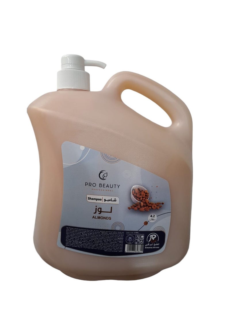 Shampoo 4.2L Pro Beauty Almond - pzsku/Z326D3E3BFF9C2ABEB898Z/45/_/1728392778/1e8f16bc-aeb4-4727-b8eb-bc31c2d5c63d