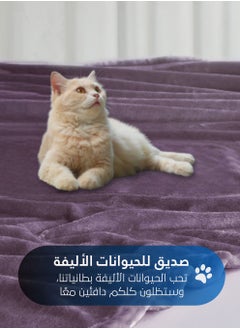 سيد المنسوجات المنزلية بطانية مخمل خفيفه بمقاس مزدوج، سلسلة مورا، 350 جم/متر مربع، 260 × 240 سم، صوف إضافي فائق النعومة لجميع فصول السنة، يستخدم كغطاء للسرير بطانيات .  - Image 4