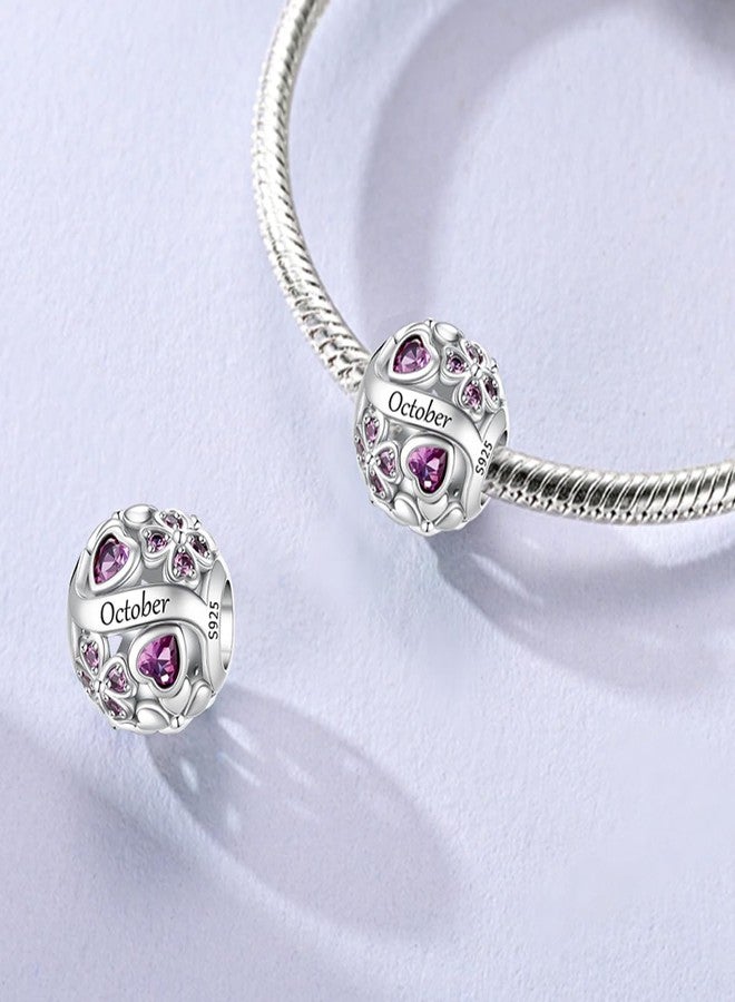 LNQOBU 925 Sterling Silve Lucky Birthstone Charm for Bracelets, With 5A Cubic Zirconia Birthday Charms Dangle Pendant Bead for Pandora Bracelets and Necklaces - Image 3