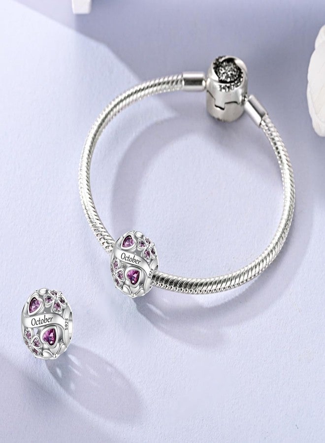 LNQOBU 925 Sterling Silve Lucky Birthstone Charm for Bracelets, With 5A Cubic Zirconia Birthday Charms Dangle Pendant Bead for Pandora Bracelets and Necklaces - Image 2
