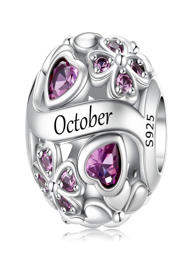 LNQOBU 925 Sterling Silve Lucky Birthstone Charm for Bracelets, With 5A Cubic Zirconia Birthday Charms Dangle Pendant Bead for Pandora Bracelets and Necklaces - Image 1