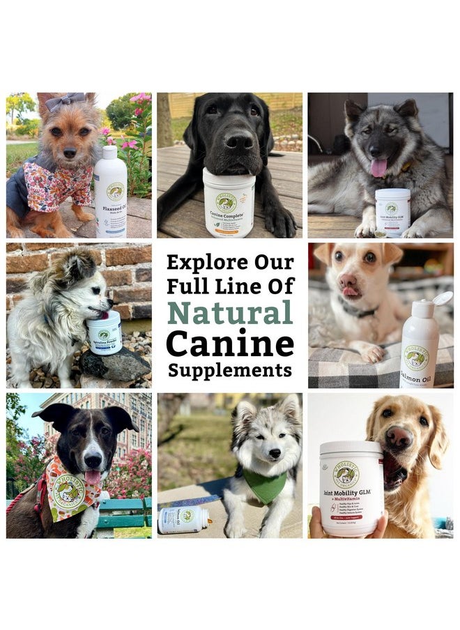 Wholistic Pet Organics Wholistic Pet Organics Canine Complete Multivitamin for Dogs - 1 Lb - Nutrient-Rich Dog Food Supplements & Vitamins - Dog Supplement Powder for Immune System, Skin, Coat & Overall Health  - Image 4