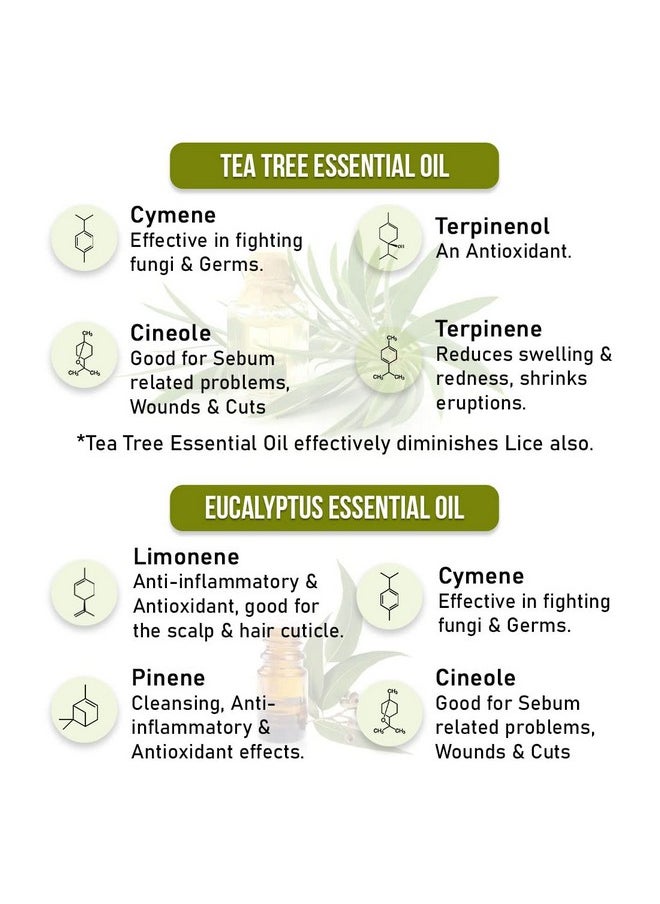 Keya Seth Aromatherapy Keya Seth Aromatherapy, Scalp Care Dandruff Removal Shampoo With Salicylic Acid, Tea Tree & Eucalyptus Oil -Reduces Dandruff & Flakes Itchy Scalp 200Ml  - Image 3