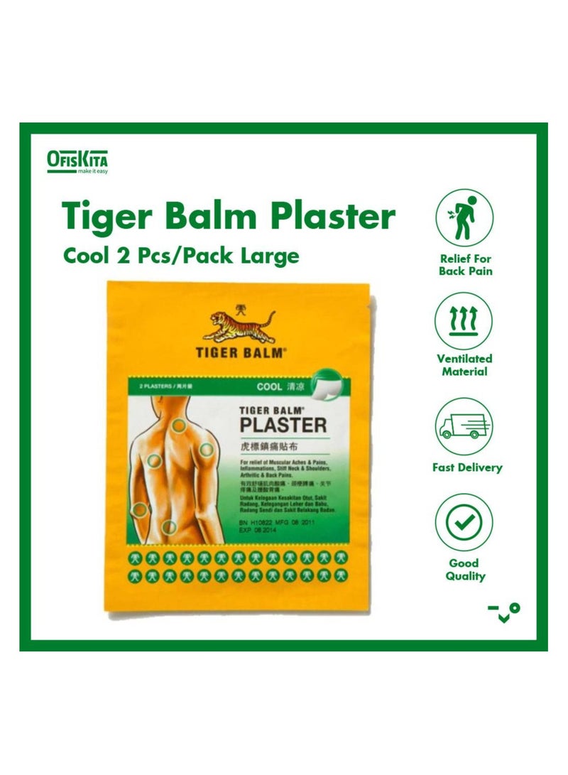 لاصقة طبية لتخفيف الآلام بحجم كبير (عبوة من 6 قطع) - Image 3