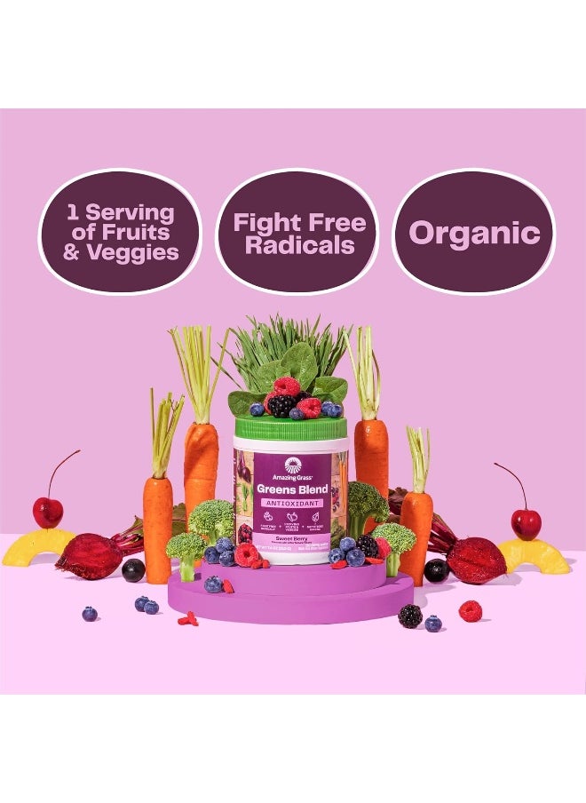 Amazing Grass Greens Blend Antioxidant: Super Greens Powder Smoothie Mix with Organic Spirulina, Beet Root Powder, Elderberry & Probiotics, Sweet Berry, 100 Servings - pzsku/Z3273413EBDA7500A49E4Z/45/_/1740377556/ed1cdea7-6aef-498c-b69d-8dd2ec0a23da