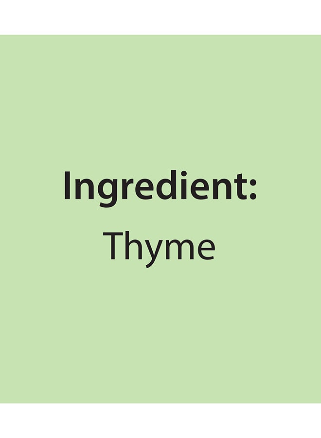 Mehran Thyme 40Gm - Image 2