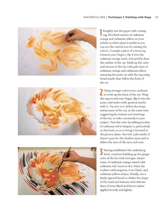 How to Paint: A Complete Beginners Guide to Watercolor, Acrylics, and Oils