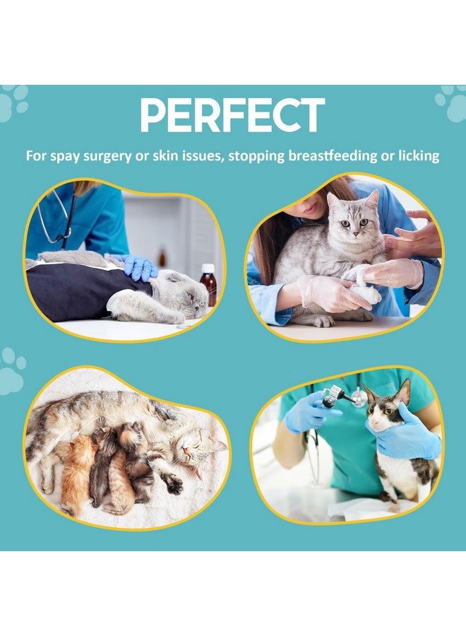Avont Cat Recovery Suit - Post-Surgery Onesie for Cats, Alternative to Cone of Shame, Protective Spay Suit for Female Kitten, Ideal for Healing and Skin Conditions -Magenta(L) - Image 4
