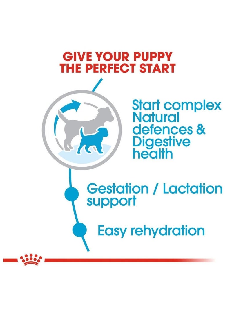 ROYAL CANIN Mini Starter Mother & BabyDog Food 1kg - Image 5