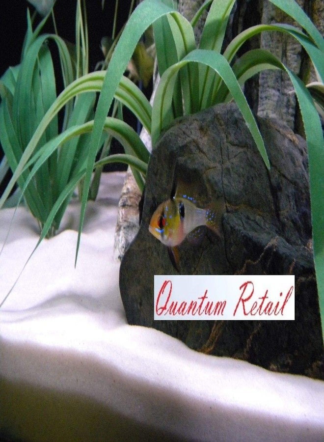 Quantum Retail Sugar Size White Quartz Sand Gravel & Substrate for Aquarium Decoration, Home and Garden Decor & Vase fillers (500 Grams) - Image 4