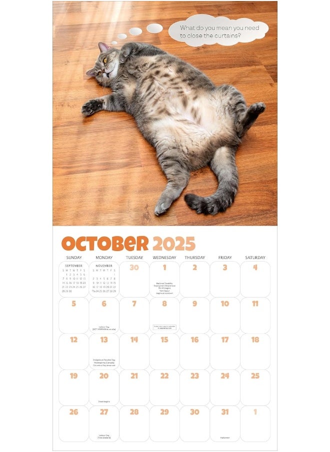 Chonkers Wall Calendar 2025: A Year of Cats Large and In Charge