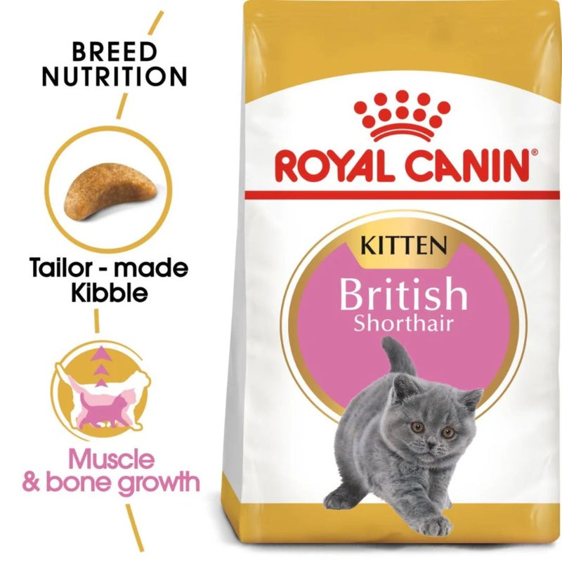 Royal Canin Dry Food for British Shorthair Kittens (4-12 Months),2kg - Image 2