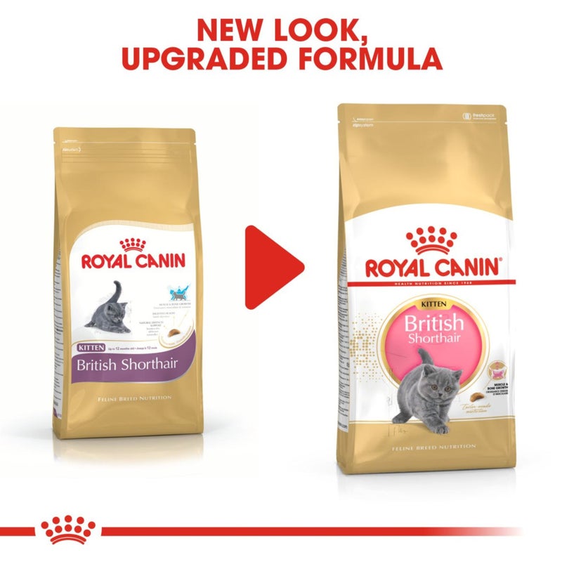 Royal Canin Dry Food for British Shorthair Kittens (4-12 Months),2kg - Image 3