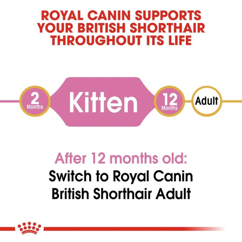 Royal Canin Dry Food for British Shorthair Kittens (4-12 Months),2kg - Image 4