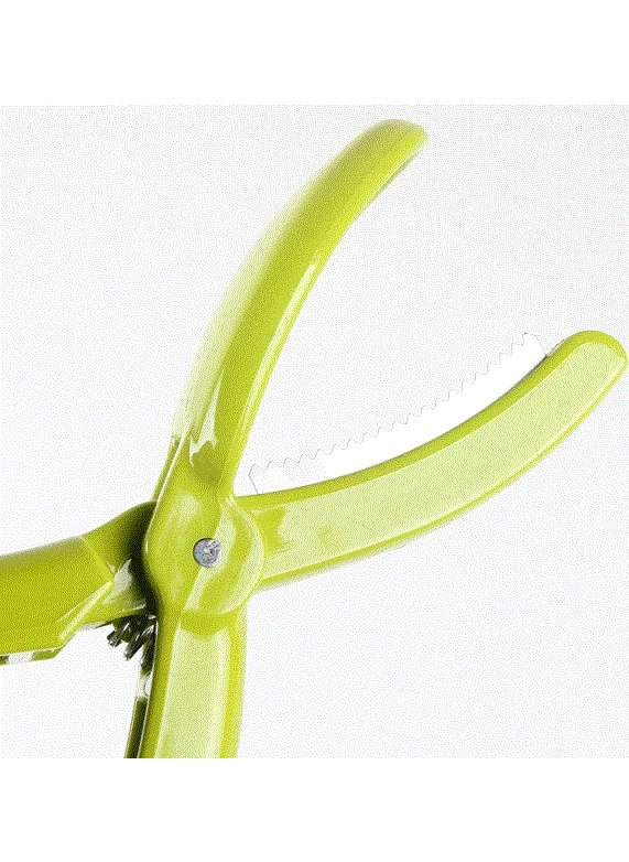 ANKA Phoenix Chestnut Cutter Chesnut Cutter
